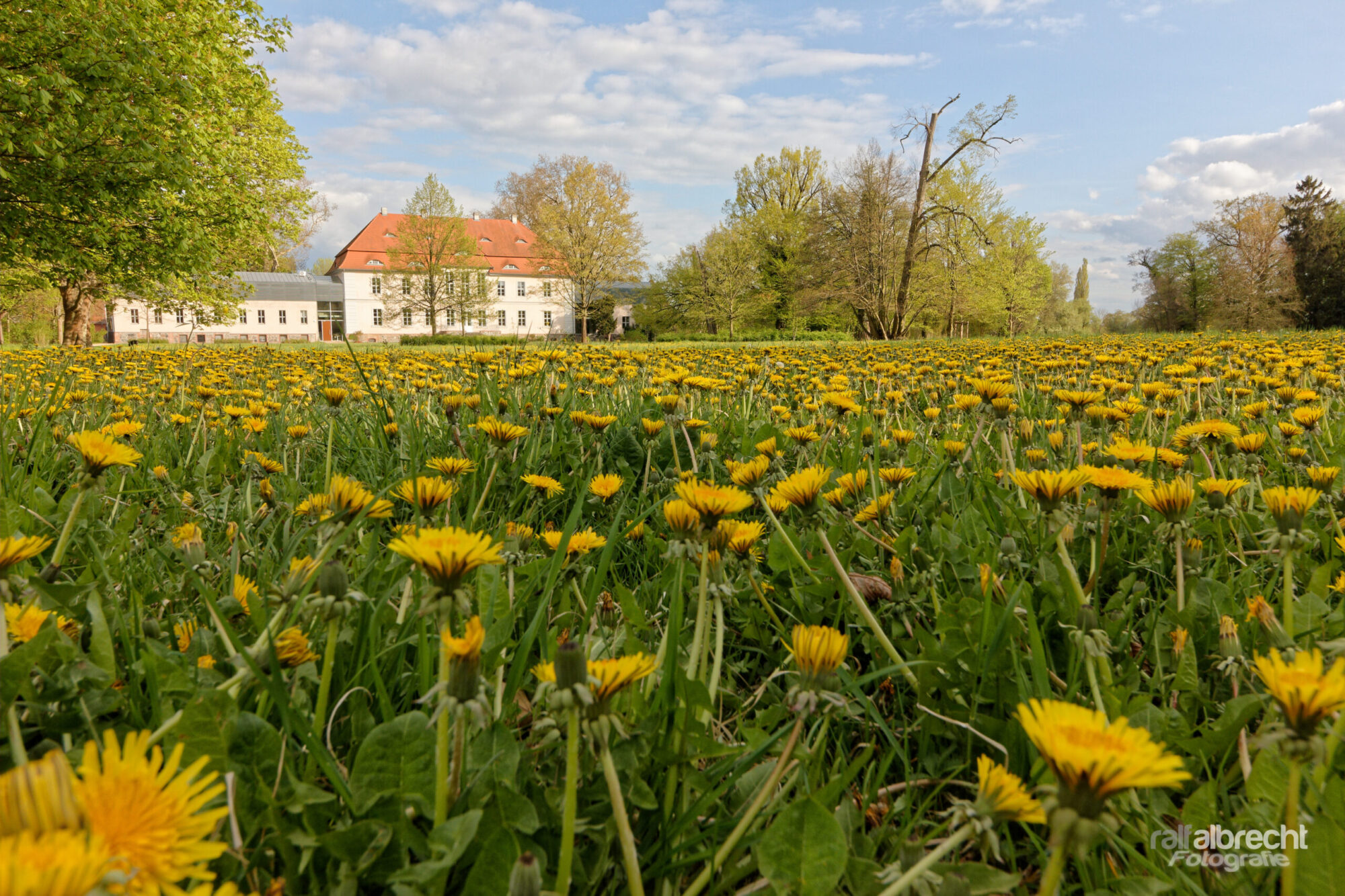 5. + 6. Juni 2021 Tag der offenen Gärten Uckermark Criewen